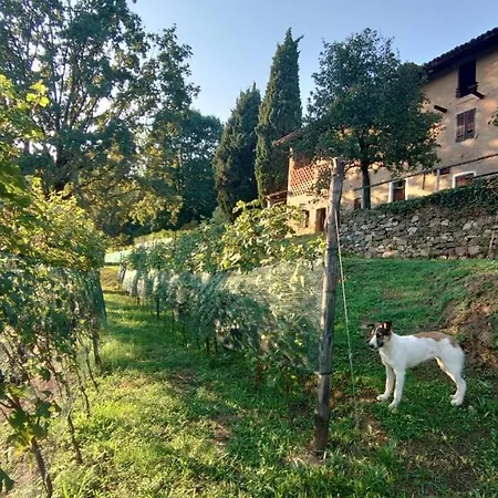 Alloggio per agriturismo Agriturismo Borgo Cà Del Becca Bioglio